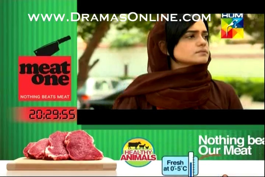 Shab-e-Zindagi ful