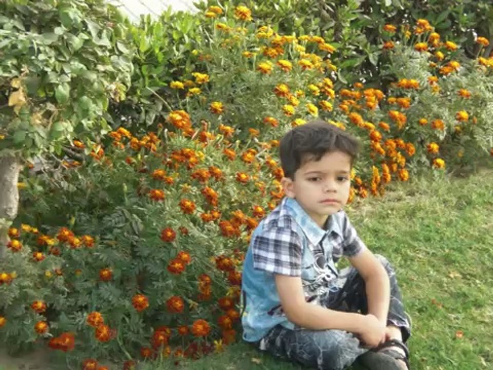Moiz keamari