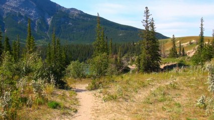 Talbot Lake Sands in Jasper NP.
