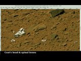 47 Mars Rover Fake NV Photos Gold Silver VEIN Mining Goat Burro Skull Bones Pulley Mar 5 2014 mAVEN