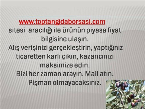 Toptan Zeytin Satanlar,Toptan Zeytin Satışı,Zeytin Satışı,Toptan Satış,Toptan Zeytin Alanlar