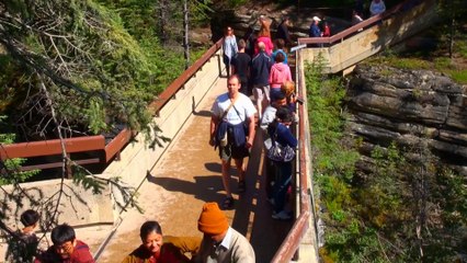 Viewpoints on Athabasca Falls in Jasper NP.