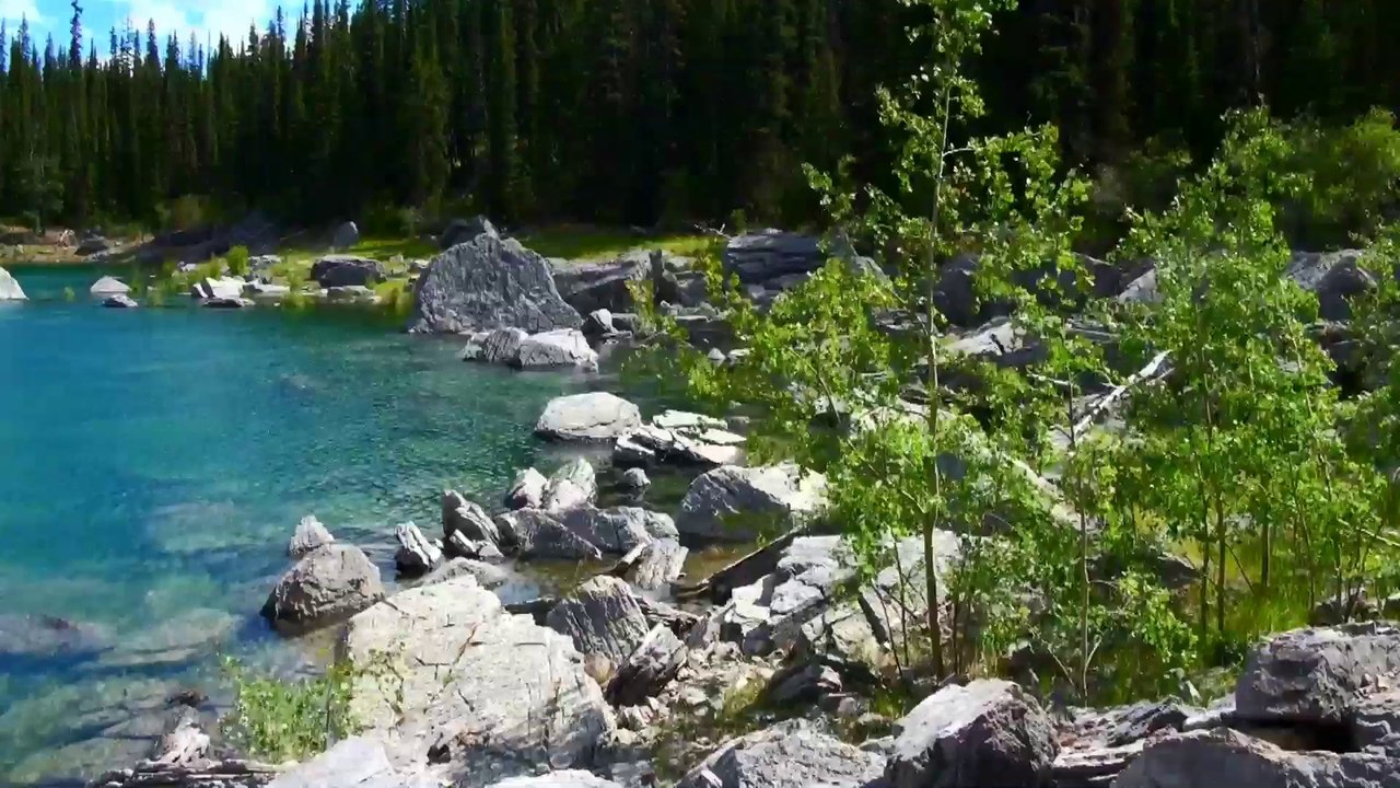 Medicine Lake West in Jasper NP.