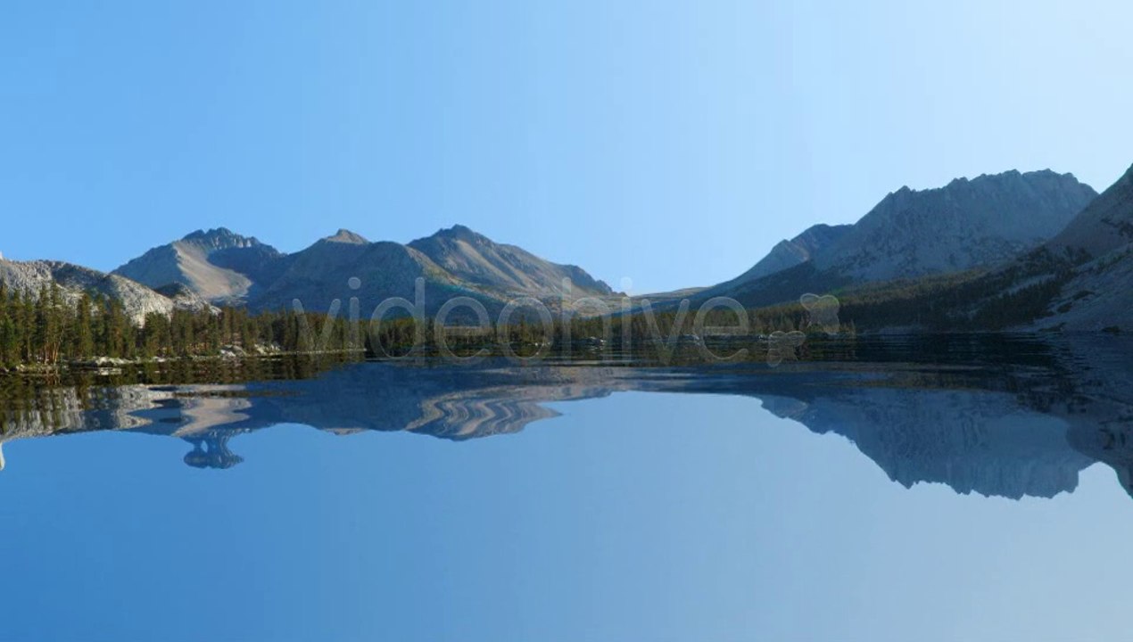 Dark Lake