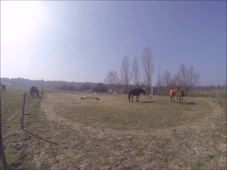 11.03.2014.f.carrière