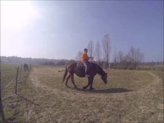 11.03.2014.h.carrière