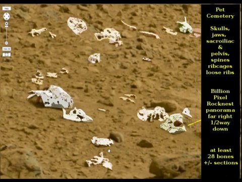 19 Mars Fake Rover Pics Earth Nevada Moapa Desert Evidence Hoax Busted skull NASA Feb 2014