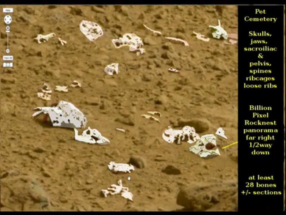 19 Mars Fake Rover Pics Earth Nevada Moapa Desert Evidence Hoax Busted skull NASA Feb 2014