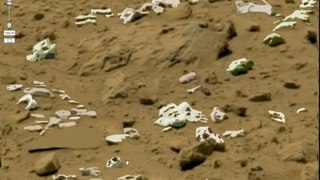 18 Mars Fake Ripoff Rover Entire Skeleton Skull label ID Feb 2014 Fraud Hoax Fake Scandal-qus3_AP8NnU