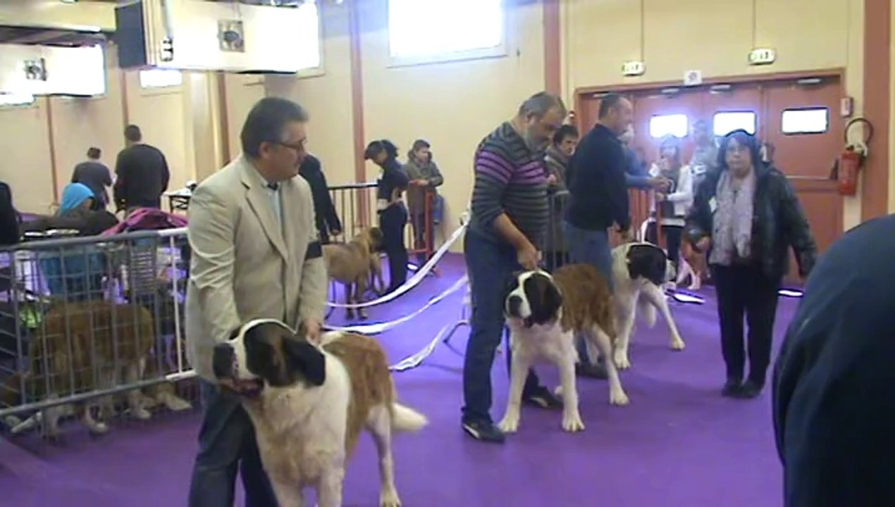 Valence 2014 CO Femelles PL