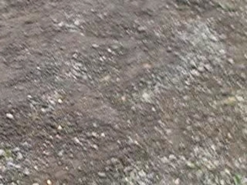 CHUTE QUAD