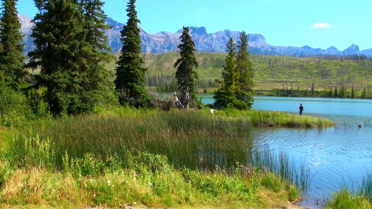 Boats and Animals of Talbot Lake.