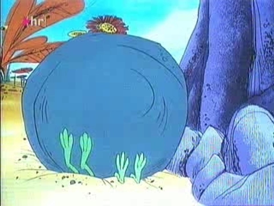 Sancho - ein springlebendiges..