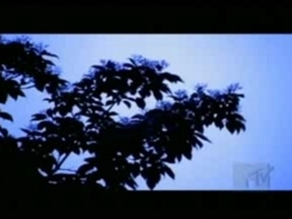 OLIVIA - Into The Stars