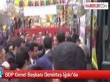 BDP Genel Başkanı Demirtaş Iğdır'da