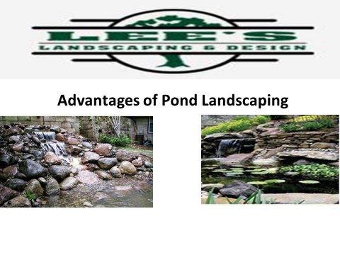 Lee's Landscaping & Design, Inc. MN Landscapers