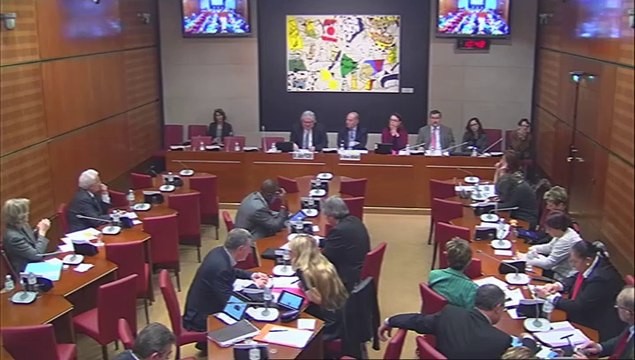 Audition de M. Alain Fuchs, pdt du CNRS - Mercredi 19 Février 2014