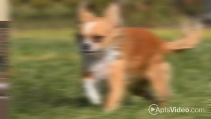 Brookwood Village Apartments in Blue Springs, MO - ForRent.com