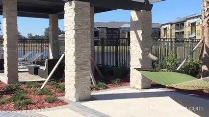 Lost Lake Apartments in Jacksonville, FL - ForRent.com