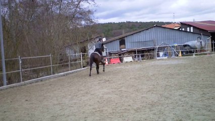 Karistan - séance obstacle - 3 mars 2014