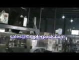Stand-up Zipper Pouch Packing Machine, Bag-Given Packaging Machine