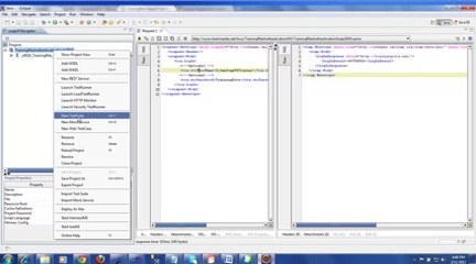 SoapUI Web Service Testing Video Tutorial Training - Eclipse Addin