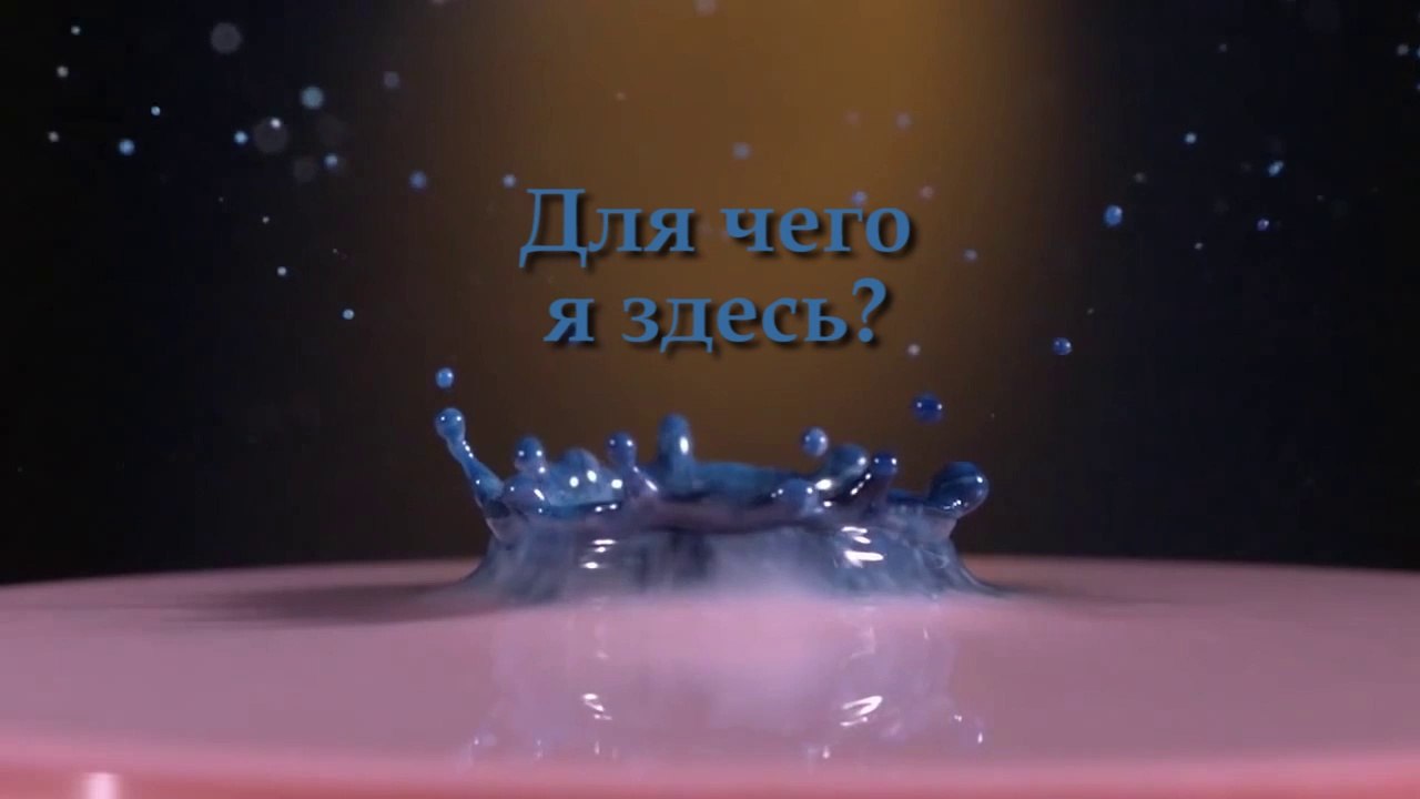 40 дней к цели