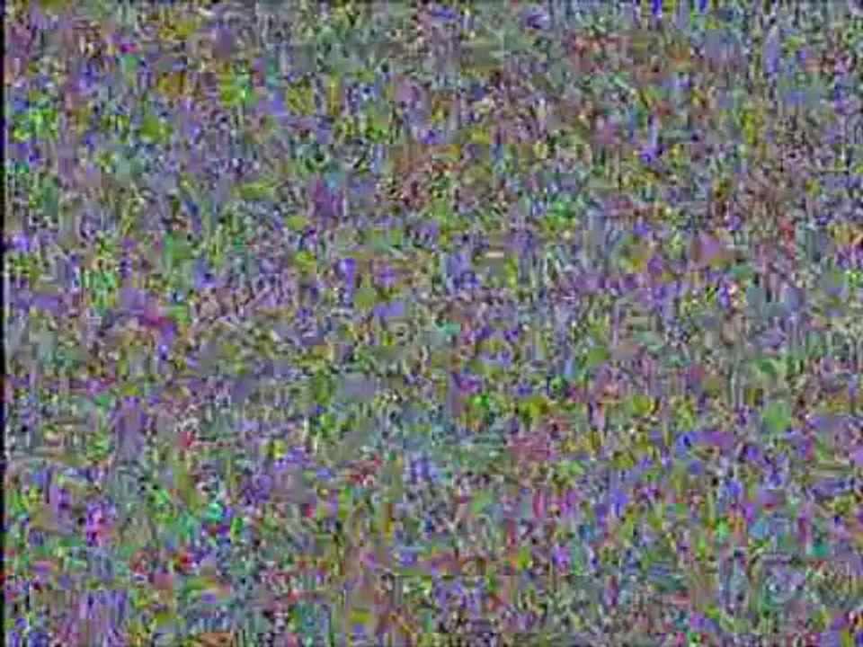 TP-VOD01-115