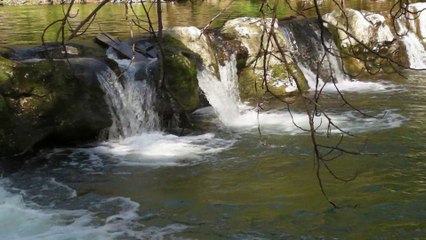 09/03/2014 Balade le long de la Brague