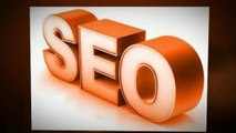 Professional Seo Singapore Company - SEO Services