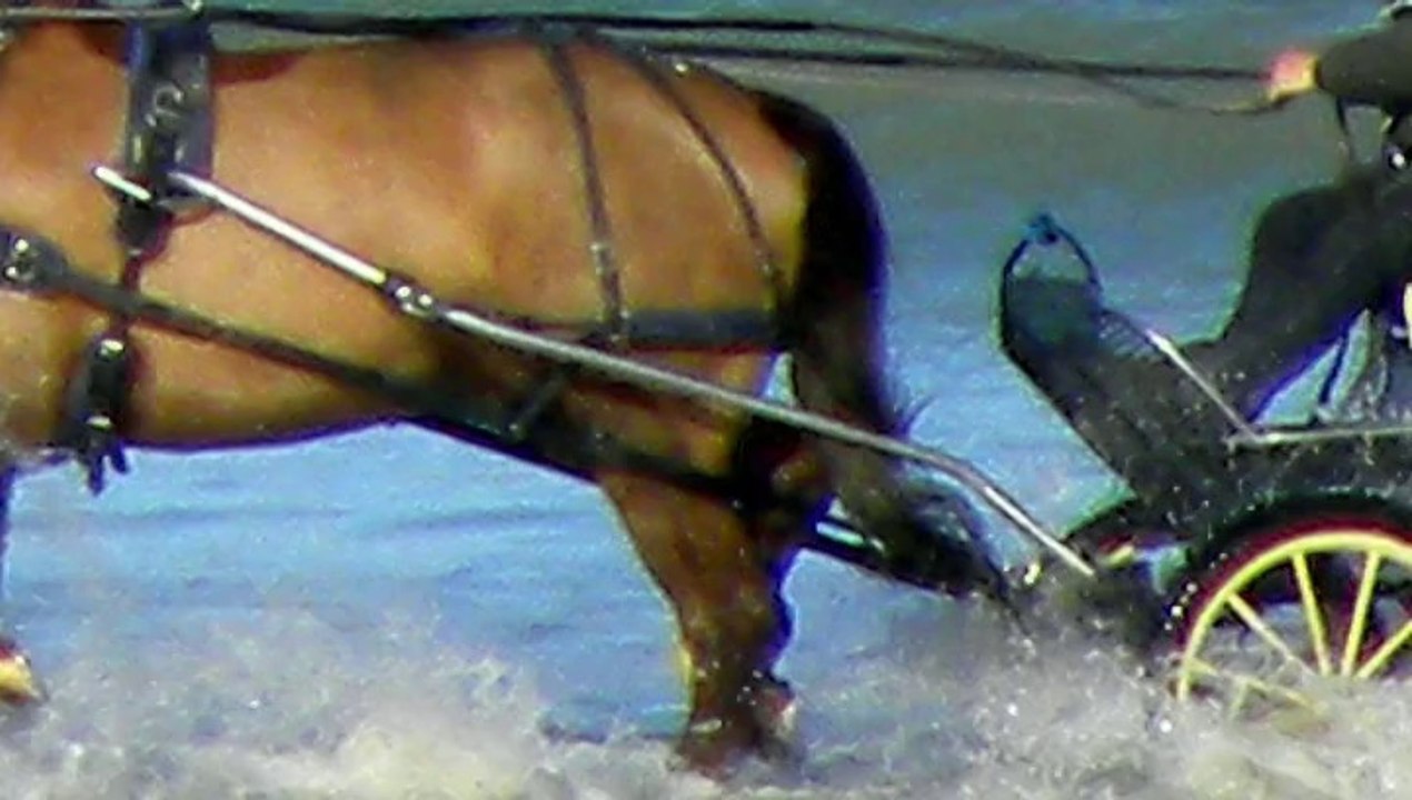 colnie présente mer ,chevaux,bateaux
