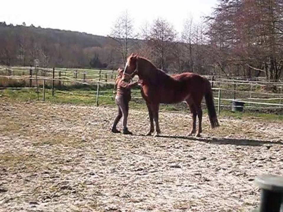 Séance printanière