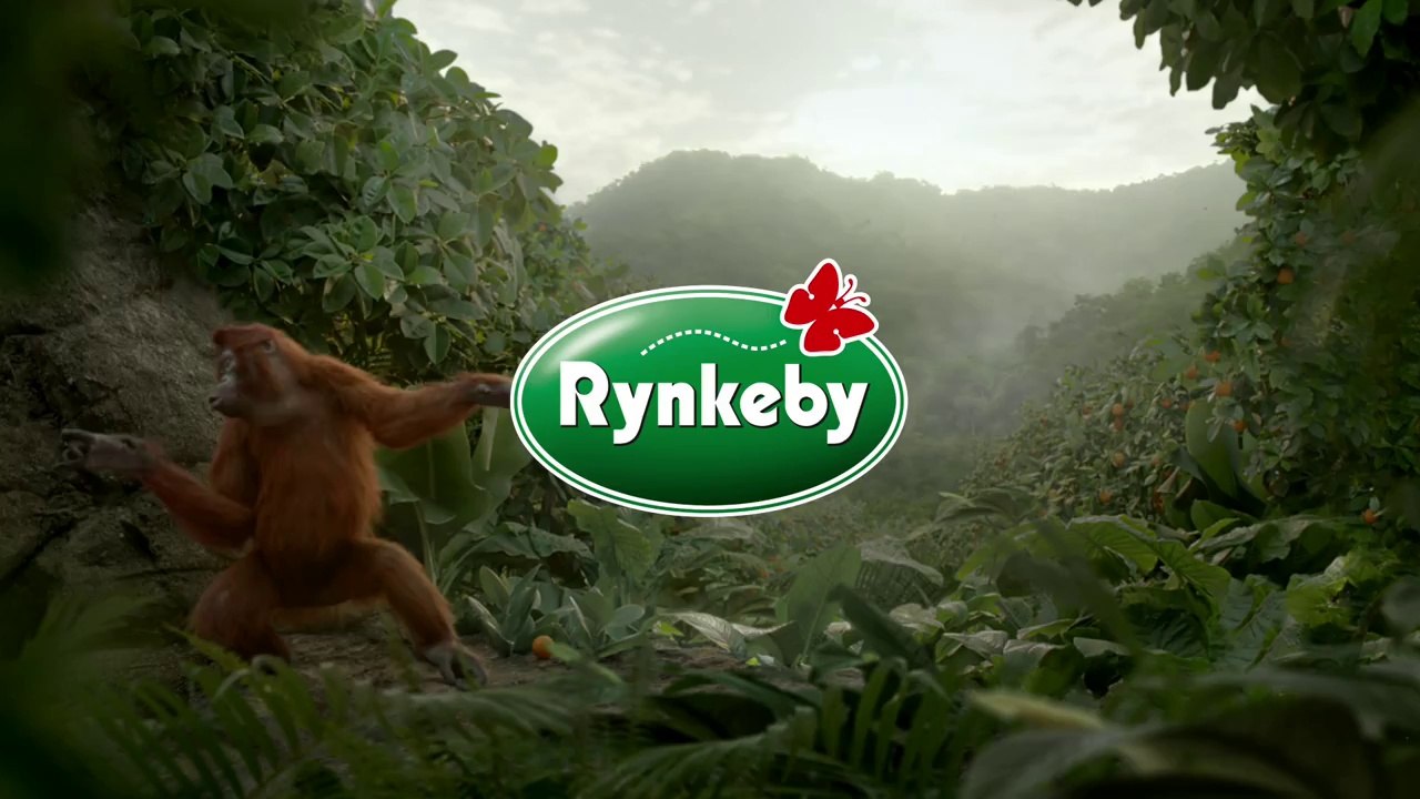 Rynkeby - Monkey Dance