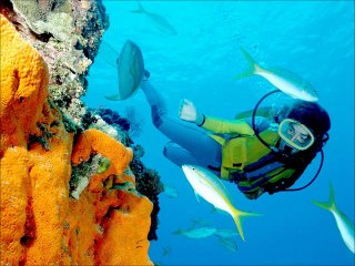 Hurghada Holidays and Cairo Tours
