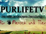 PurlifeTV - vom  14.03.2014 - Morgensendung aus Aachen für Aachen und Umgebung