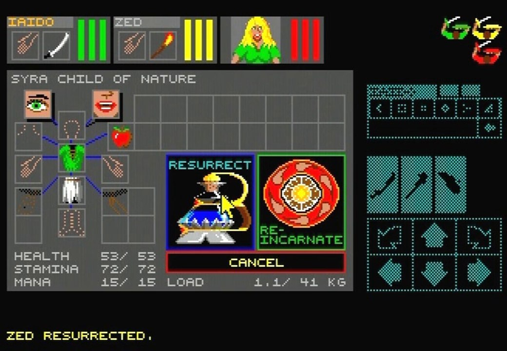 Amiga dungeon master
