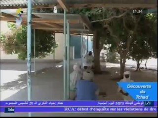 NOS REGIONS :LA REGION D'ENNEDI  DU 12 MARS 2014 SUR TOL