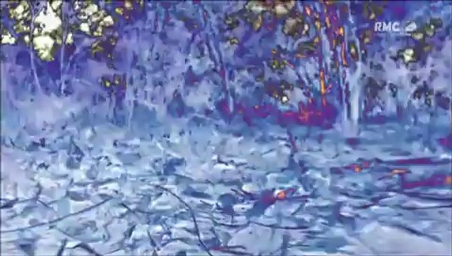 Documentaire, Balade En Afrique, Découvrez Les Animaux Les Plus Dangereux