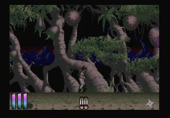 Amiga shadow of the beast 3