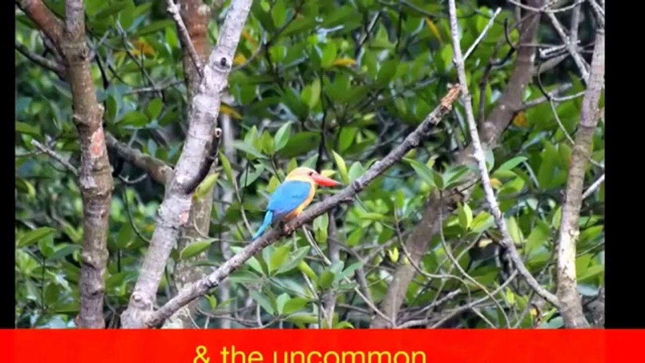 Kairos Singapore Holdings Pte Ltd offers our 2014 Products & Services.