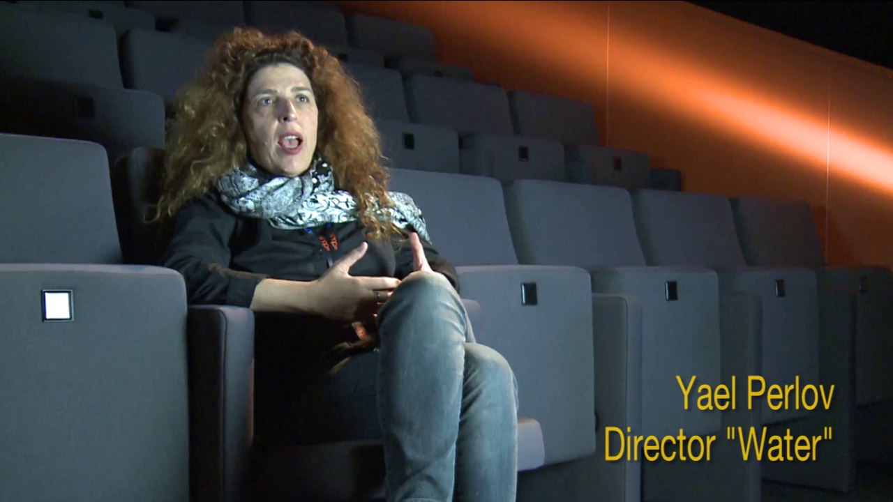 Palestine-Israel, can cinema help