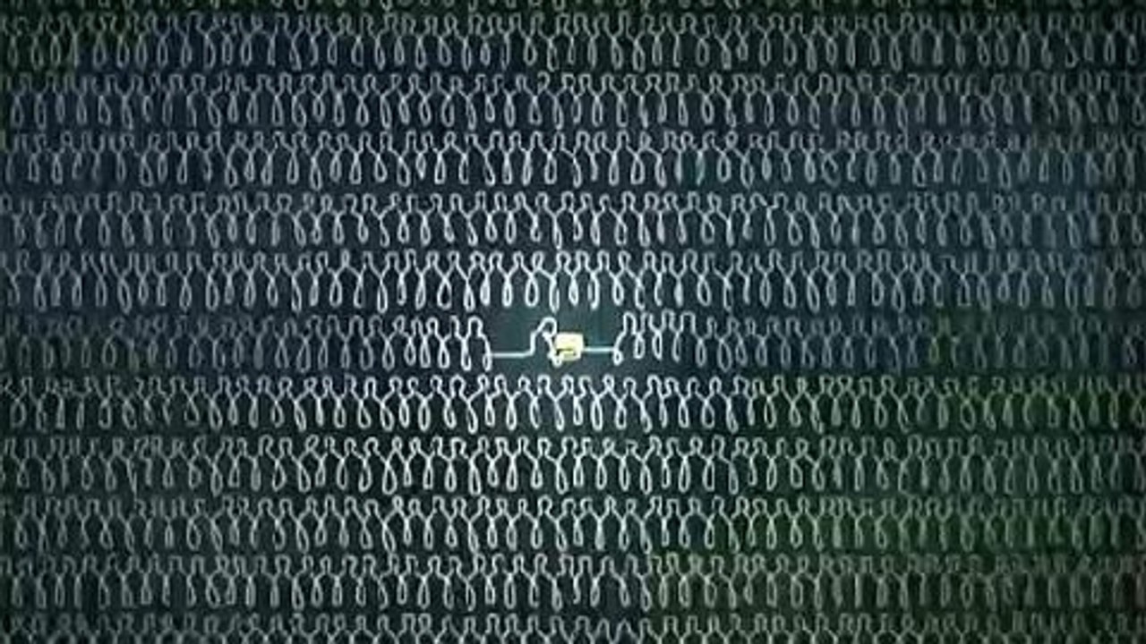 World Wide Web celebrates 25th anniversary