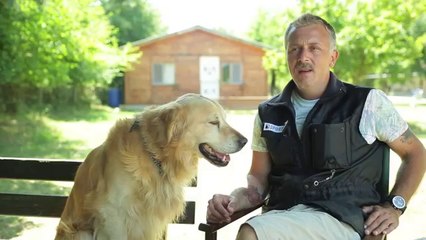 Temel itaat Eğitimi