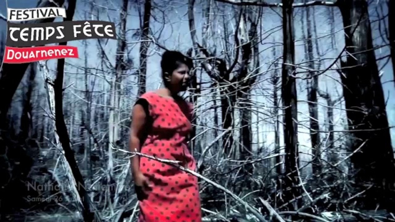 Programmation Musique du festival Temps fête 2014  à Douarnenez
