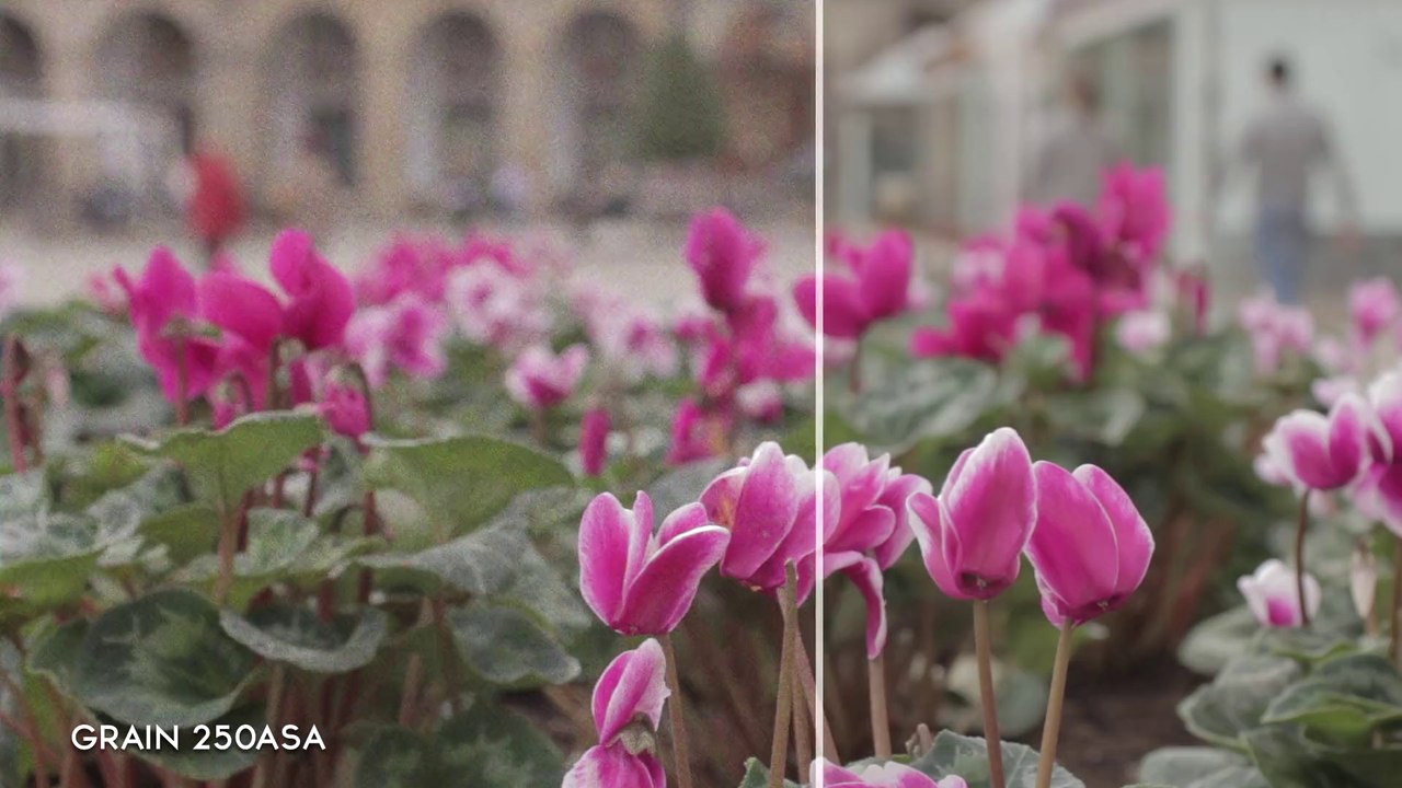 Film Stock Emulation: 10 film grain overlays classified by ISO