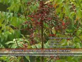 BİTKİSEL ÜRÜNLERLE KESİN ÇÖZÜM!