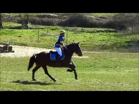 CCE P1 Longvilliers 9/03/14 - LLETTYCRUDD TOMOS