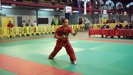Championnat de France de Kungfu traditionnel 2014