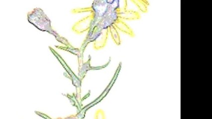 bonus je fais des bonds