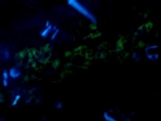 Club Eleven à Amsterdam 🎉